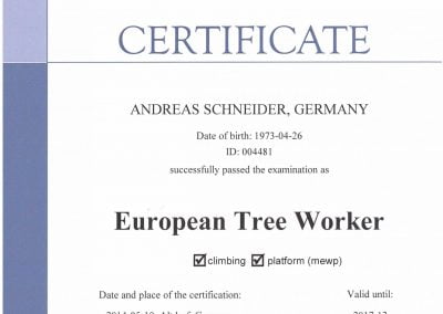 Baumpflege Waiblingen_Zertifikat_1