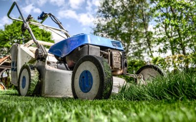 Gartenpflege-Tipps: Der komplette Leitfaden für das ganze Jahr (+ Gartenkalender)
