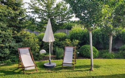 Rasen vertikutieren im Frühjahr – Tipps vom Profi aus Waiblingen